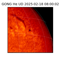 gong - 2025-02-18T08:00:02
