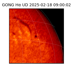 gong - 2025-02-18T09:00:02