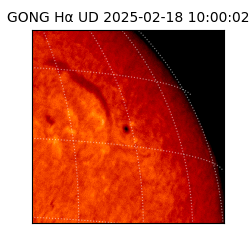 gong - 2025-02-18T10:00:02