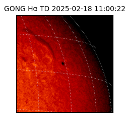 gong - 2025-02-18T11:00:22