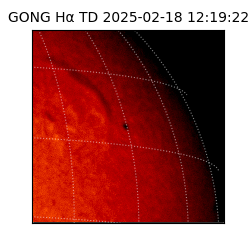 gong - 2025-02-18T12:19:22