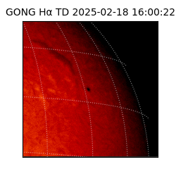gong - 2025-02-18T16:00:22