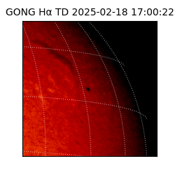 gong - 2025-02-18T17:00:22