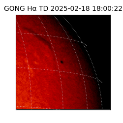 gong - 2025-02-18T18:00:22