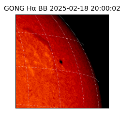 gong - 2025-02-18T20:00:02