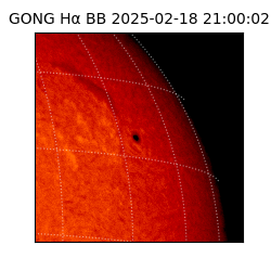 gong - 2025-02-18T21:00:02