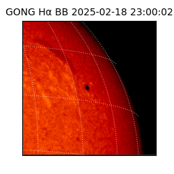 gong - 2025-02-18T23:00:02