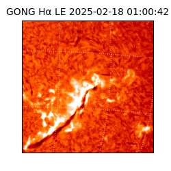 gong - 2025-02-18T01:00:42