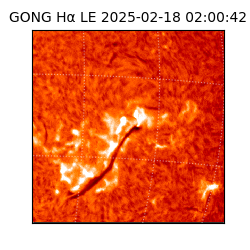 gong - 2025-02-18T02:00:42