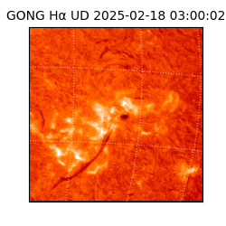 gong - 2025-02-18T03:00:02