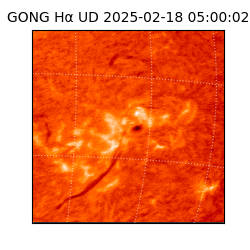 gong - 2025-02-18T05:00:02