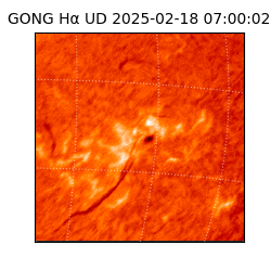 gong - 2025-02-18T07:00:02
