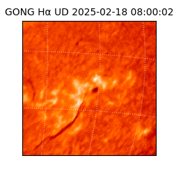 gong - 2025-02-18T08:00:02