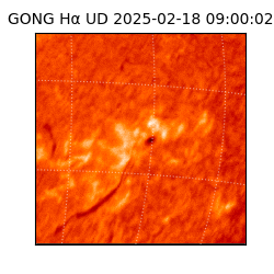 gong - 2025-02-18T09:00:02