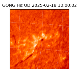 gong - 2025-02-18T10:00:02