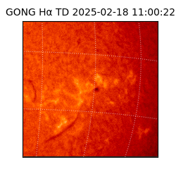 gong - 2025-02-18T11:00:22