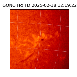 gong - 2025-02-18T12:19:22
