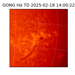 gong - 2025-02-18T14:00:22