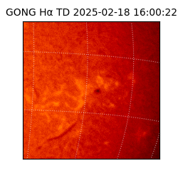 gong - 2025-02-18T16:00:22