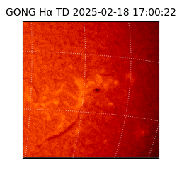 gong - 2025-02-18T17:00:22