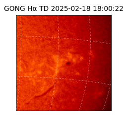 gong - 2025-02-18T18:00:22