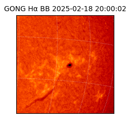 gong - 2025-02-18T20:00:02