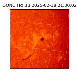 gong - 2025-02-18T21:00:02