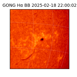 gong - 2025-02-18T22:00:02