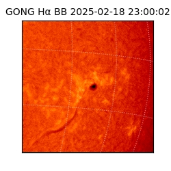 gong - 2025-02-18T23:00:02