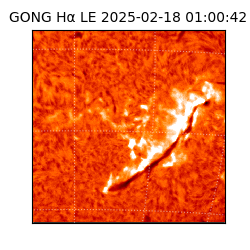 gong - 2025-02-18T01:00:42