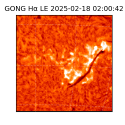 gong - 2025-02-18T02:00:42