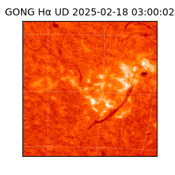 gong - 2025-02-18T03:00:02