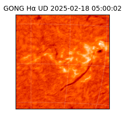 gong - 2025-02-18T05:00:02