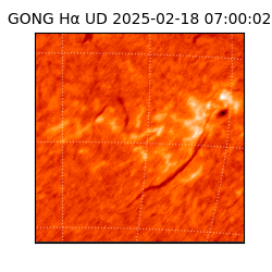 gong - 2025-02-18T07:00:02