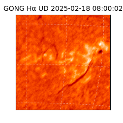 gong - 2025-02-18T08:00:02