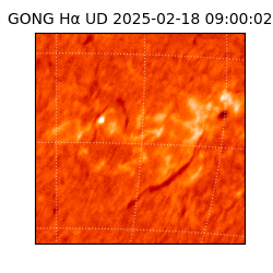 gong - 2025-02-18T09:00:02