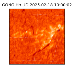 gong - 2025-02-18T10:00:02