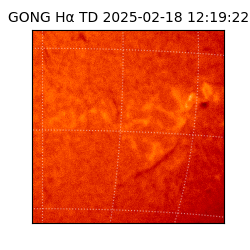 gong - 2025-02-18T12:19:22