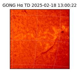 gong - 2025-02-18T13:00:22