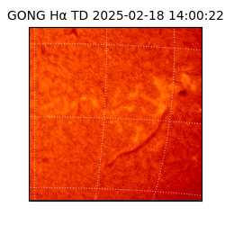 gong - 2025-02-18T14:00:22