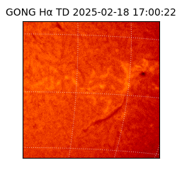 gong - 2025-02-18T17:00:22