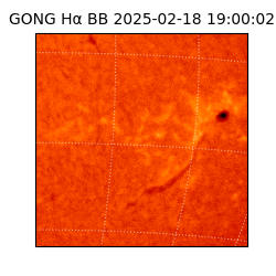 gong - 2025-02-18T19:00:02