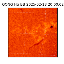 gong - 2025-02-18T20:00:02