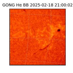 gong - 2025-02-18T21:00:02