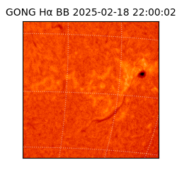 gong - 2025-02-18T22:00:02