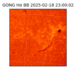 gong - 2025-02-18T23:00:02