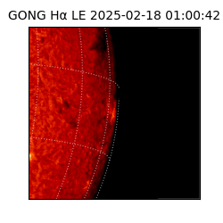 gong - 2025-02-18T01:00:42
