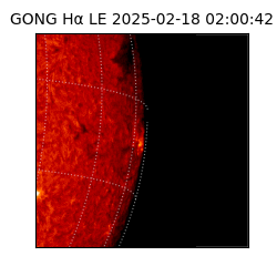 gong - 2025-02-18T02:00:42