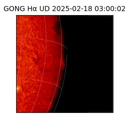 gong - 2025-02-18T03:00:02