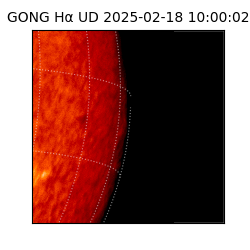 gong - 2025-02-18T10:00:02